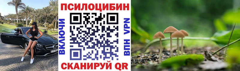 Псилоцибиновые грибы мухоморы  мориарти клад  Суворов 